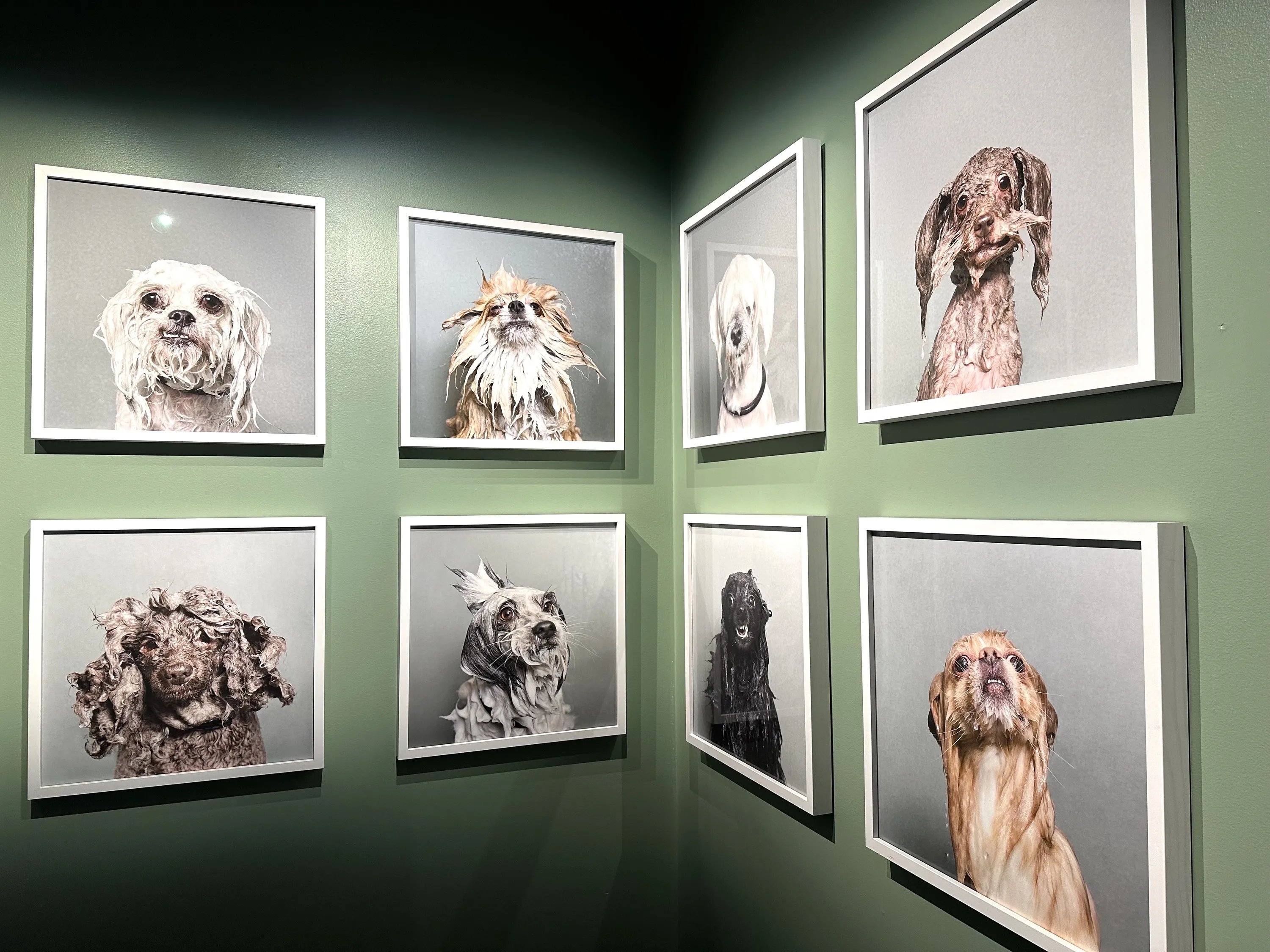 🖼️ 이마이 미술관(今井美術館) 이미지 9